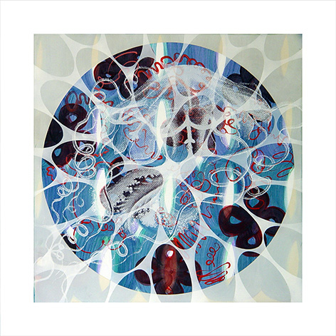 14-60x60 meduse blau-wei�.net