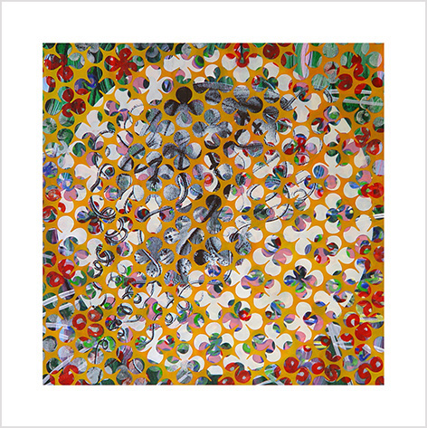 14-80x80 meduse orange.net1